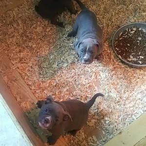 Meet your Posher, Luis